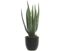 Aloe Vera Kunstpflanze 35 cm