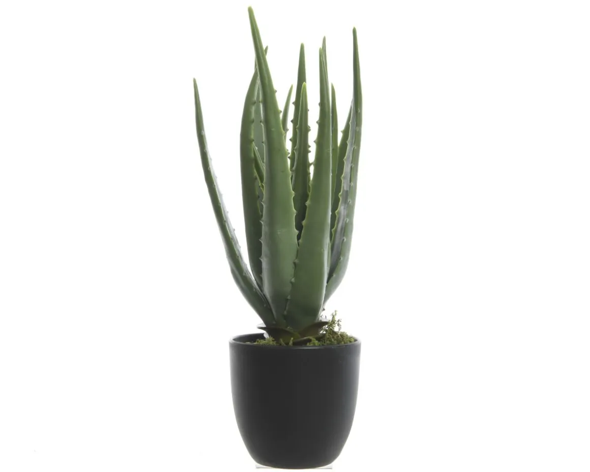 Aloe Vera Kunstpflanze 35 cm