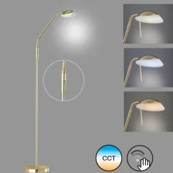 Fischer & Honsel 1-flg LED Stehleuchte Pool-TW messingfarben