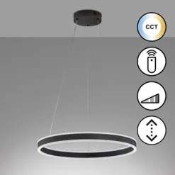 Fischer & Honsel LED Pendellampe Sirko Schwarz