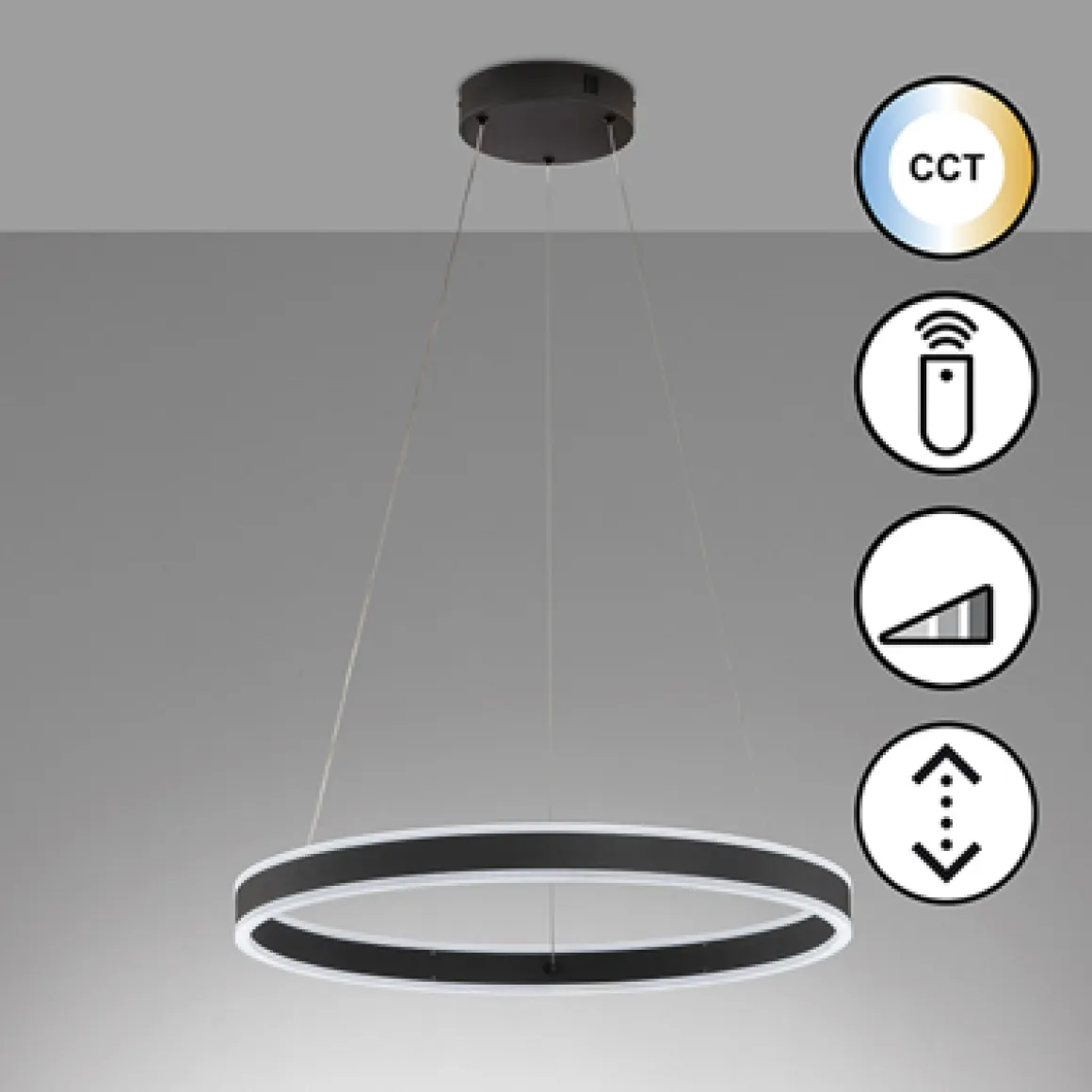 Fischer & Honsel LED Pendellampe Sirko Schwarz