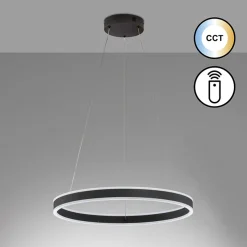 Fischer & Honsel LED Pendellampe Sirko Schwarz