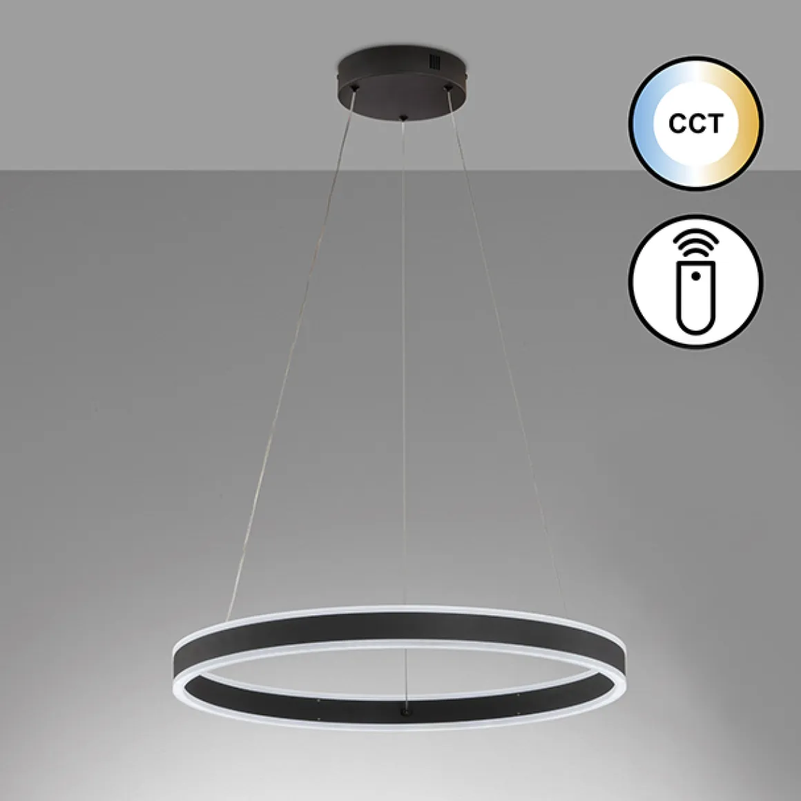 Fischer & Honsel LED Pendellampe Sirko Schwarz