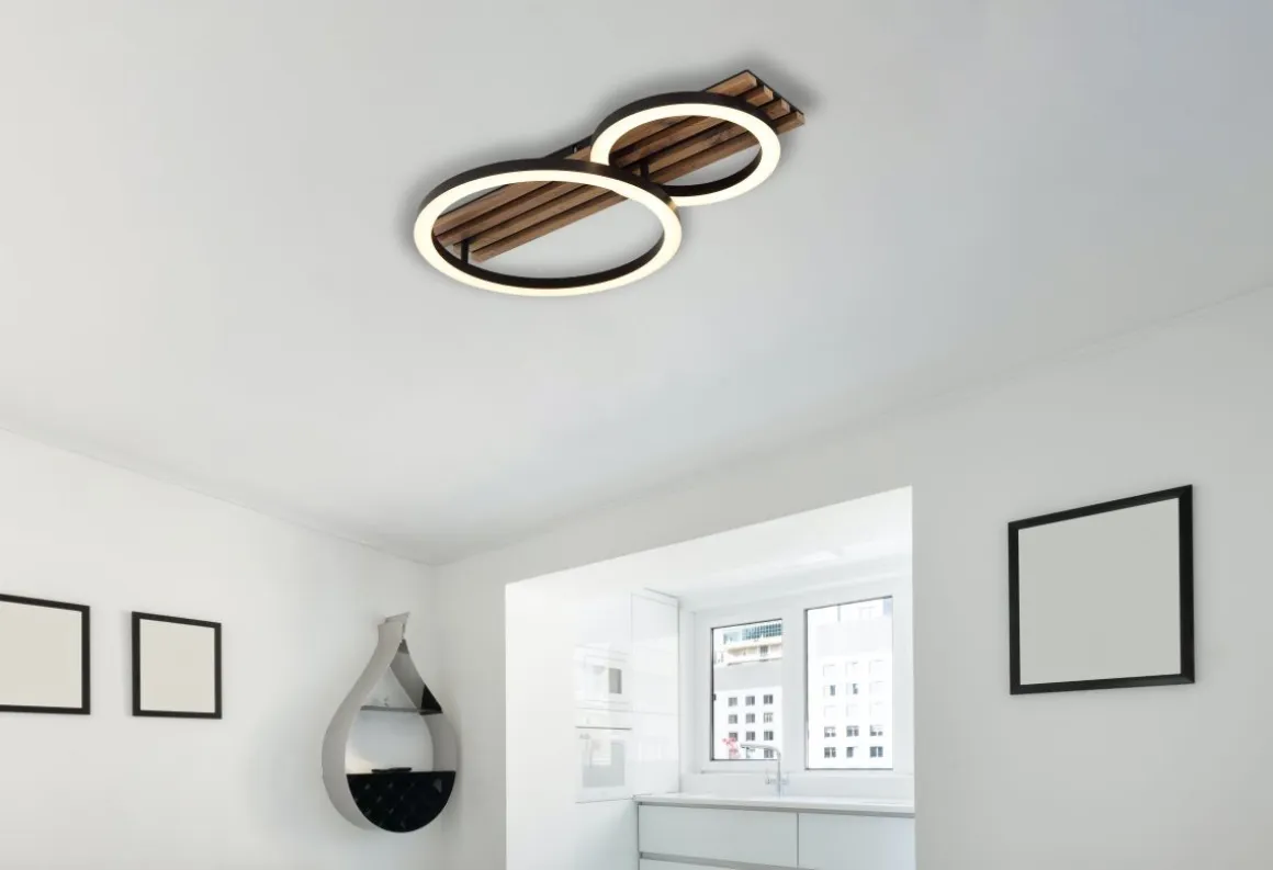 Globo 2-flg LED Deckenlampe Tisha
