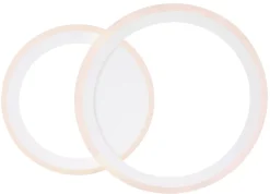 Globo 2-flg LED Deckenleuchte Fenna