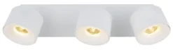 Globo LED Spot Rae