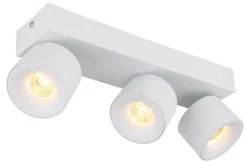 Globo LED Spot Rae