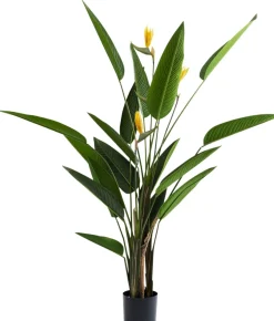 KARE Deko-Pflanze Paradise Flowers