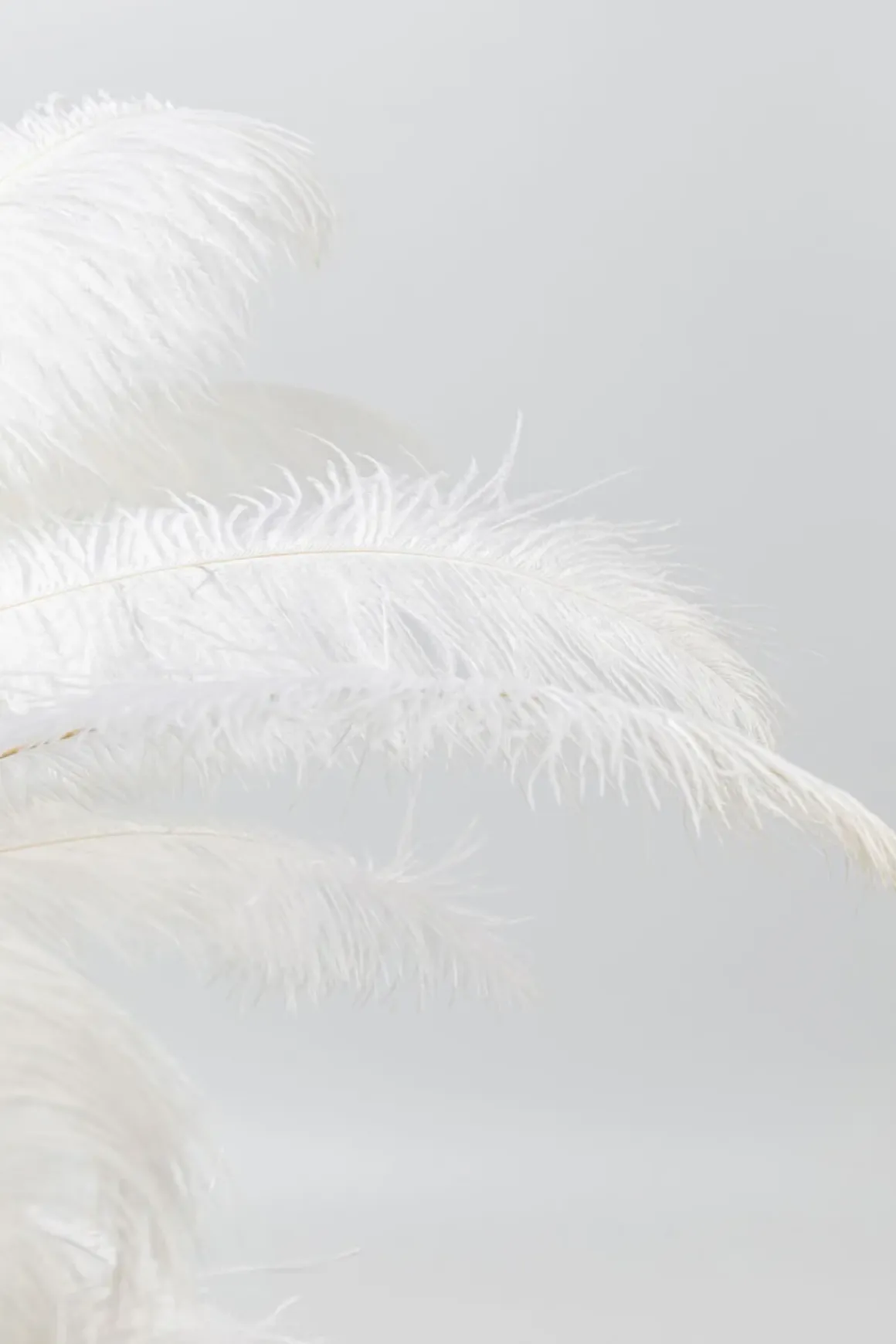 KARE Tischleuchte Feather Palm