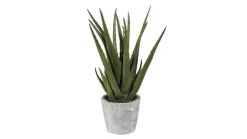 Kunstpflanze Aloe 40 cm