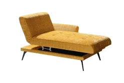 Liege Amira Safran
