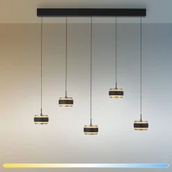 Neuhaus Pure 5-flg LED Pendelleuchte Falling Rings
