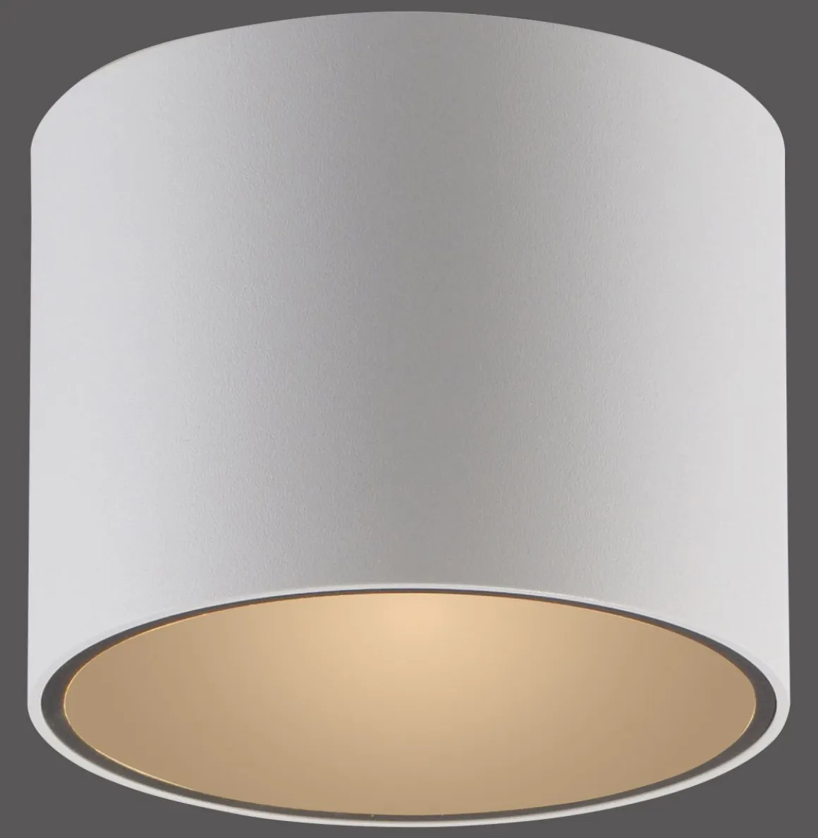 Neuhaus Pure LED Deckenleuchte Point