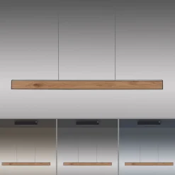 Neuhaus Pure LED Pendellampe E-Motion