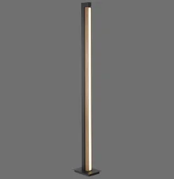 Neuhaus Pure LED Stehlampe Lines Floor