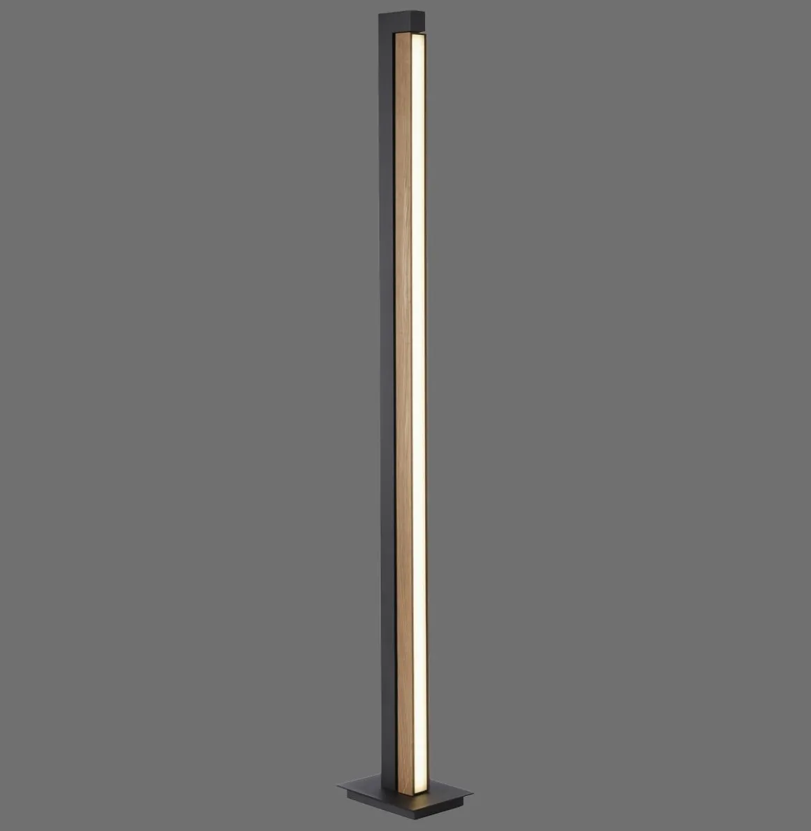 Neuhaus Pure LED Stehlampe Lines Floor
