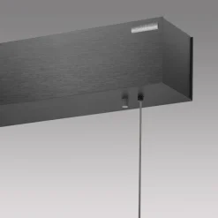 Neuhaus Pure Pendelleuchte E-Motion