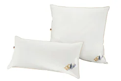 OBB Kopfkissen 120 Jahre Medium 40 x 80 cm
