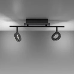 Paul Neuhaus 2-flg LED Deckenleuchte Sileda Anthrazit
