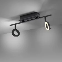 Paul Neuhaus 2-flg LED Deckenleuchte Sileda Anthrazit