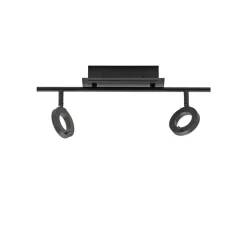 Paul Neuhaus 2-flg LED Deckenleuchte Sileda Anthrazit