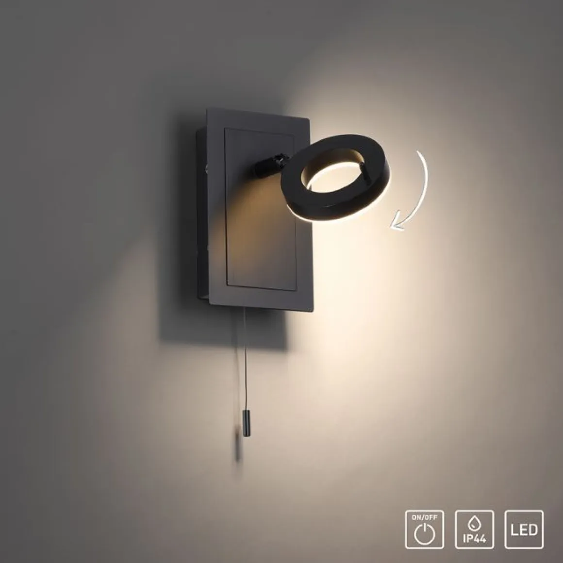Paul Neuhaus 1-flg LED Wandleuchte Sileda Anthrazit