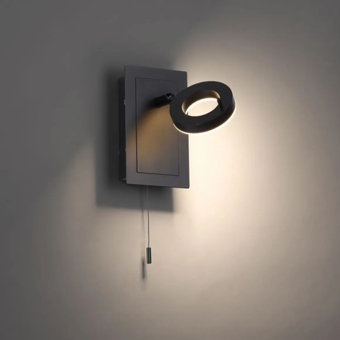 Paul Neuhaus 1-flg LED Wandleuchte Sileda Anthrazit