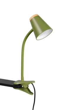 Reality Leuchten Klemmlampe Pongo Grün