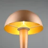 Reality Leuchten LED Tischlampe Canaria Coffee