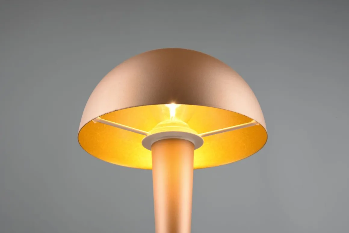 Reality Leuchten LED Tischlampe Canaria Coffee