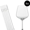 Schott Zwiesel Cocktailglas-Set After Work mit Trinkhalmen und Bürste