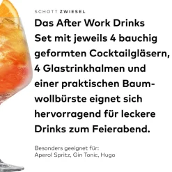 Schott Zwiesel Cocktailglas-Set After Work mit Trinkhalmen und Bürste