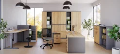 Schreibtisch E10 Hickory Grau
