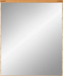 Spiegel Cambra