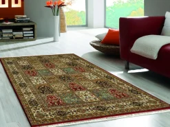 Teppich aus Indien Bachtiari rot 60 x 90 cm