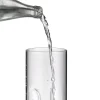 WMF Wasserkaraffe Motion 0,8 L